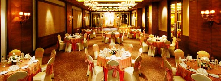 427/Radisson Blu Hotel Paschim Vihar - New Delhi 05.jpg